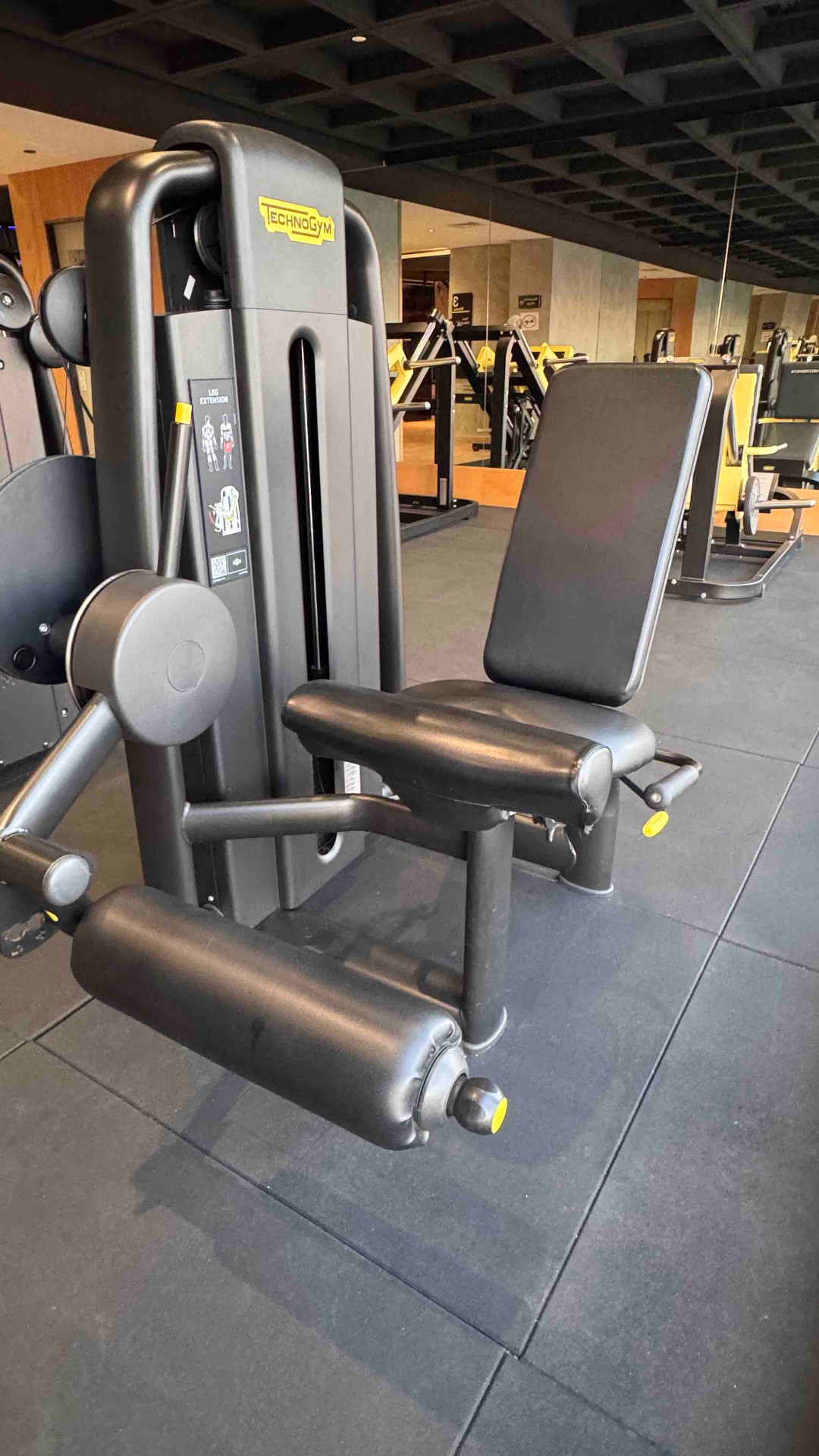 Machine Leg Extension Technogym